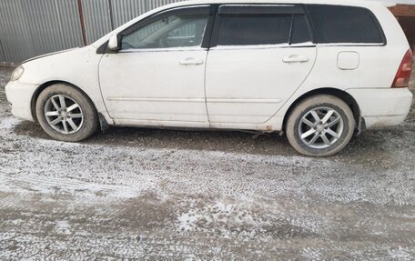 Toyota Corolla, 2003 год, 410 000 рублей, 1 фотография