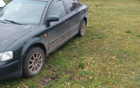 Volkswagen Passat B5+ рестайлинг, 1998 год, 310 000 рублей, 2 фотография