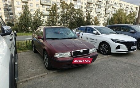 Skoda Octavia IV, 2000 год, 309 000 рублей, 2 фотография