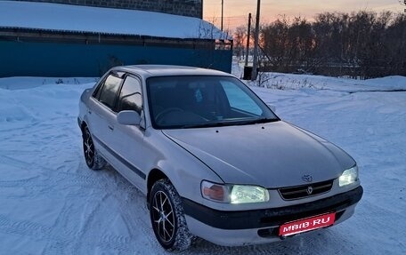 Toyota Corolla, 1995 год, 330 000 рублей, 1 фотография