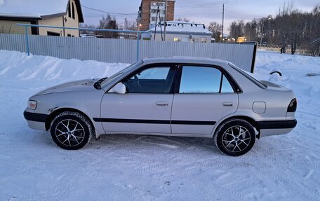 Toyota Corolla, 1995 год, 330 000 рублей, 5 фотография