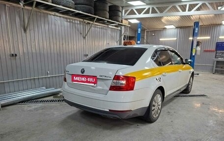 Skoda Octavia, 2019 год, 900 000 рублей, 3 фотография