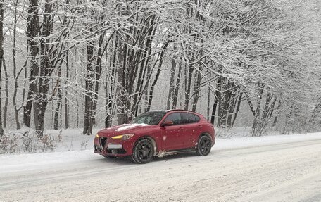 Alfa Romeo Stelvio, 2018 год, 2 570 000 рублей, 15 фотография