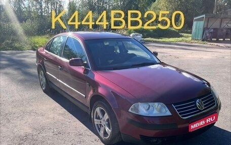 Volkswagen Passat B5+ рестайлинг, 2001 год, 800 000 рублей, 1 фотография
