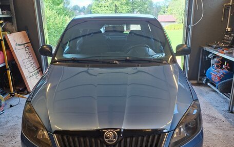 Skoda Fabia II, 2013 год, 855 000 рублей, 1 фотография