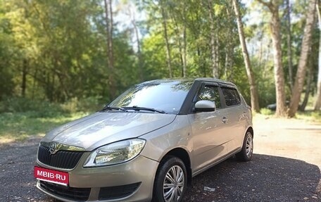 Skoda Fabia II, 2010 год, 370 000 рублей, 1 фотография