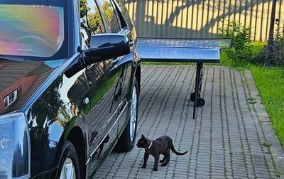 Cadillac SRX II рестайлинг, 2009 год, 1 350 000 рублей, 1 фотография