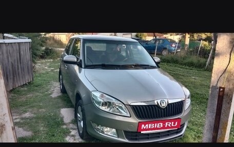 Skoda Fabia II, 2011 год, 600 000 рублей, 13 фотография
