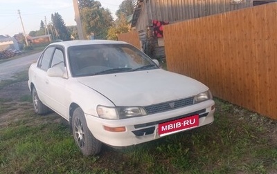 Toyota Corolla, 1995 год, 195 000 рублей, 1 фотография