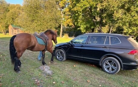 Volkswagen Tiguan II, 2020 год, 3 510 000 рублей, 4 фотография