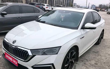 Skoda Octavia IV, 2023 год, 1 631 000 рублей, 1 фотография