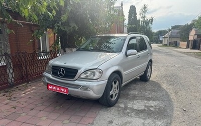 Mercedes-Benz M-Класс, 2002 год, 650 000 рублей, 1 фотография