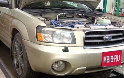 Subaru Forester, 2004 год, 700 000 рублей, 1 фотография