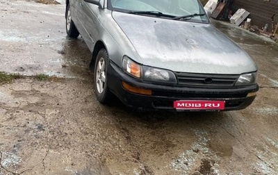 Toyota Corolla, 1993 год, 235 000 рублей, 1 фотография
