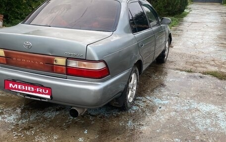Toyota Corolla, 1993 год, 235 000 рублей, 5 фотография