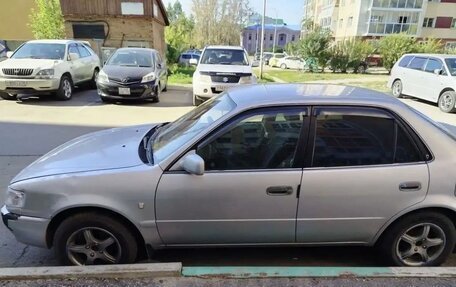 Toyota Corolla, 1999 год, 290 000 рублей, 1 фотография