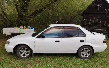 Toyota Corolla, 1998 год, 260 000 рублей, 4 фотография