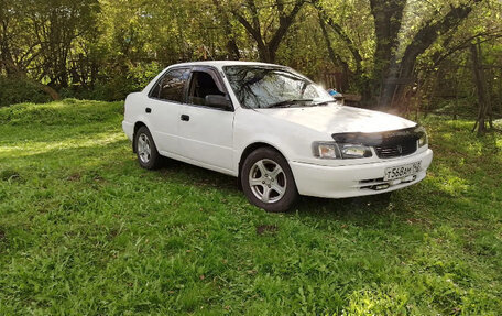 Toyota Corolla, 1998 год, 260 000 рублей, 10 фотография