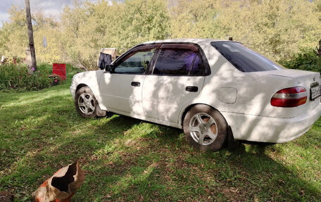 Toyota Corolla, 1998 год, 260 000 рублей, 13 фотография