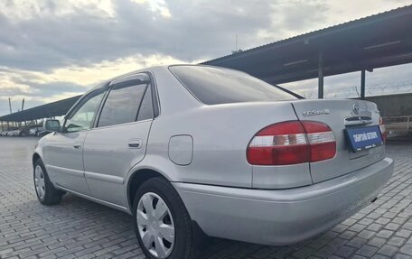 Toyota Corolla, 1998 год, 435 000 рублей, 9 фотография