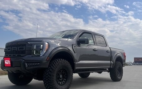Ford F-150, 2024 год, 5 700 000 рублей, 1 фотография