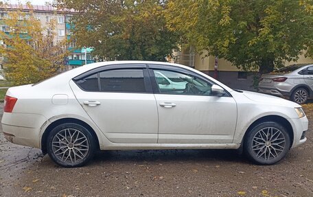 Skoda Octavia, 2017 год, 1 480 000 рублей, 4 фотография