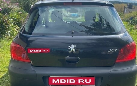 Peugeot 307 I, 2007 год, 380 000 рублей, 9 фотография