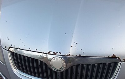 Skoda Roomster, 2007 год, 420 000 рублей, 1 фотография