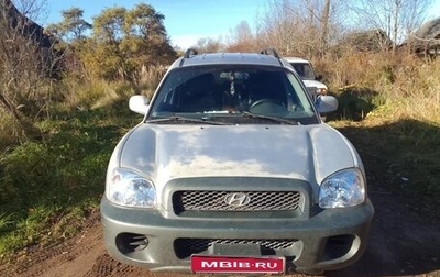 Hyundai Santa Fe III рестайлинг, 2003 год, 250 000 рублей, 1 фотография