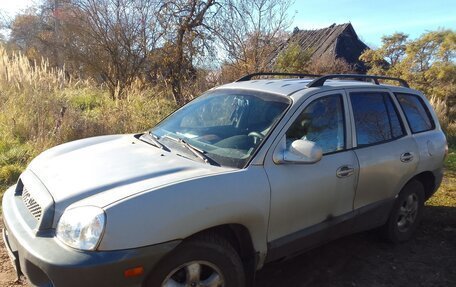 Hyundai Santa Fe III рестайлинг, 2003 год, 250 000 рублей, 5 фотография