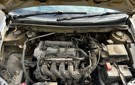 Toyota Corolla, 2003 год, 555 000 рублей, 17 фотография