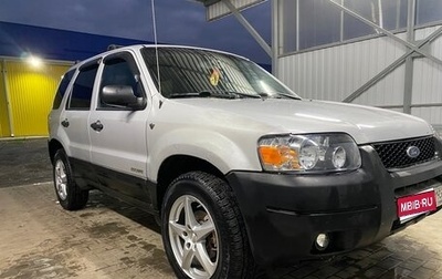 Ford Escape II, 2002 год, 450 000 рублей, 1 фотография