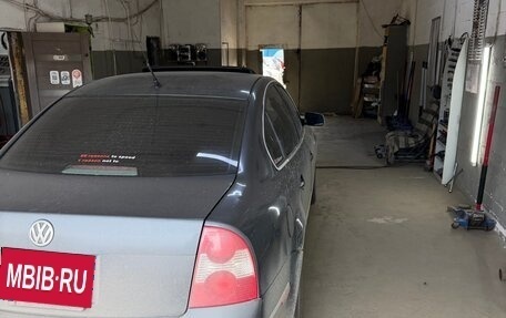 Volkswagen Passat B5+ рестайлинг, 2003 год, 400 000 рублей, 10 фотография
