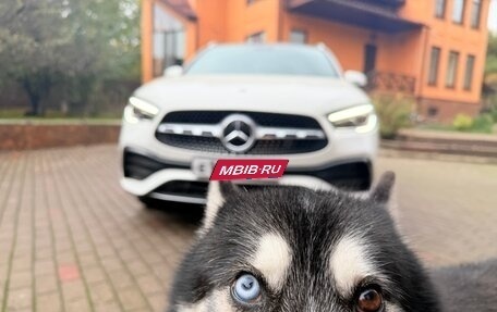 Mercedes-Benz GLA, 2020 год, 4 500 000 рублей, 1 фотография