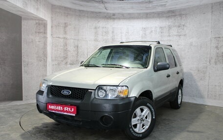 Ford Escape II, 2004 год, 450 000 рублей, 1 фотография