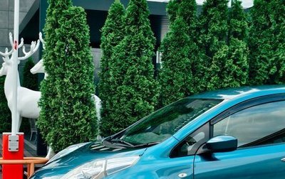 Nissan Leaf I, 2017 год, 1 750 000 рублей, 1 фотография