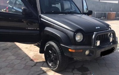 Jeep Liberty (North America) I, 2002 год, 1 250 000 рублей, 1 фотография