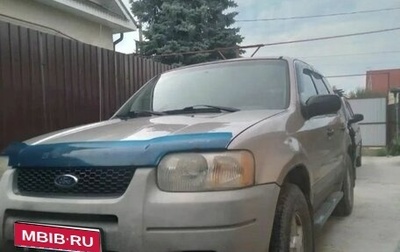 Ford Escape II, 2001 год, 300 000 рублей, 1 фотография